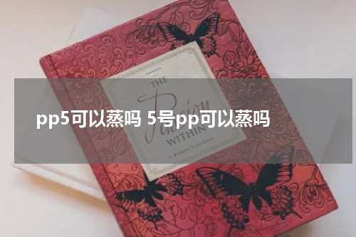 pp5可以蒸吗 5号pp可以蒸吗