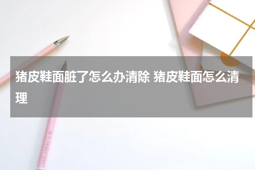 猪皮鞋面脏了怎么办清除 猪皮鞋面怎么清理