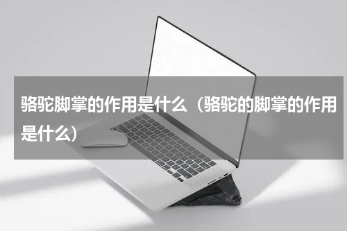 骆驼脚掌的作用是什么（骆驼的脚掌的作用是什么）