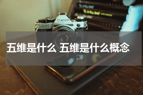 五维是什么 五维是什么概念