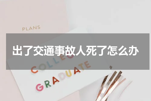 出了交通事故人死了怎么办