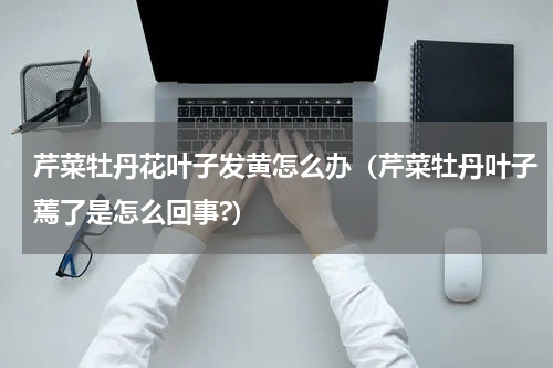 芹菜牡丹花叶子发黄怎么办（芹菜牡丹叶子蔫了是怎么回事?）