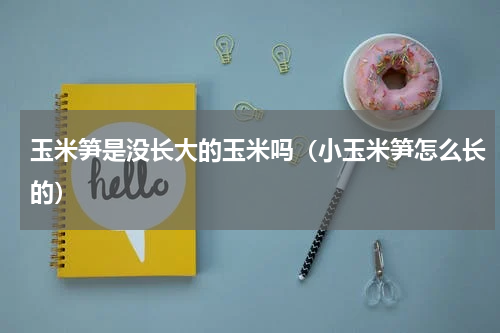 玉米笋是没长大的玉米吗（小玉米笋怎么长的）