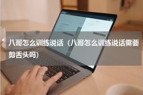 八哥怎么训练说话（八哥怎么训练说话需要剪舌头吗）