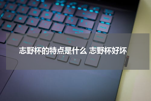 志野杯的特点是什么 志野杯好坏