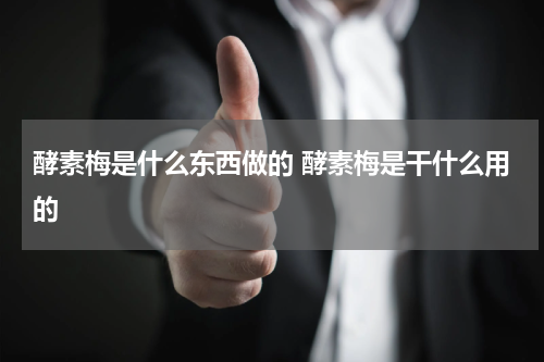 酵素梅是什么东西做的 酵素梅是干什么用的
