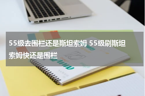 55级去围栏还是斯坦索姆 55级刷斯坦索姆快还是围栏