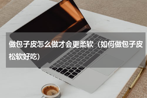 做包子皮怎么做才会更柔软（如何做包子皮松软好吃）