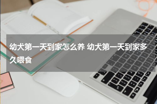 幼犬第一天到家怎么养 幼犬第一天到家多久喂食