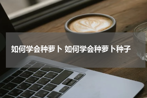 如何学会种萝卜 如何学会种萝卜种子