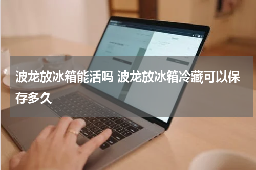 波龙放冰箱能活吗 波龙放冰箱冷藏可以保存多久