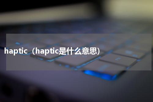 haptic（haptic是什么意思）