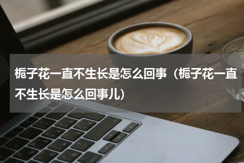 栀子花一直不生长是怎么回事（栀子花一直不生长是怎么回事儿）