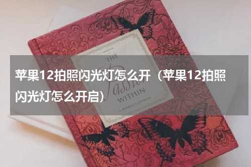 苹果12拍照闪光灯怎么开（苹果12拍照闪光灯怎么开启）