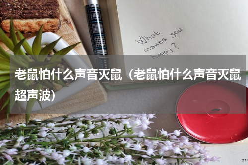 老鼠怕什么声音灭鼠（老鼠怕什么声音灭鼠超声波）