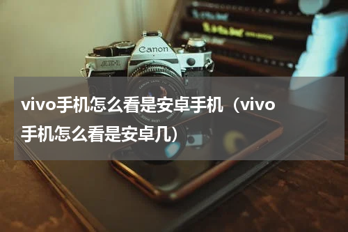 vivo手机怎么看是安卓手机（vivo手机怎么看是安卓几）