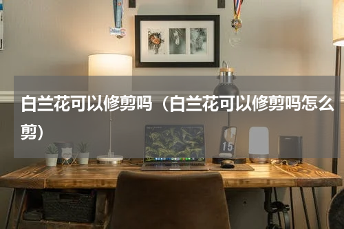 白兰花可以修剪吗（白兰花可以修剪吗怎么剪）