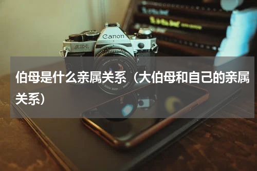 伯母是什么亲属关系（大伯母和自己的亲属关系）