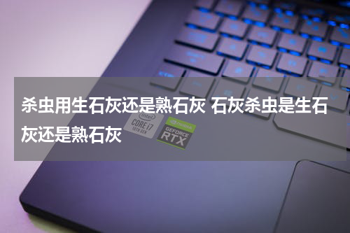 杀虫用生石灰还是熟石灰 石灰杀虫是生石灰还是熟石灰