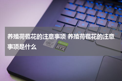 养殖荷苞花的注意事项 养殖荷苞花的注意事项是什么