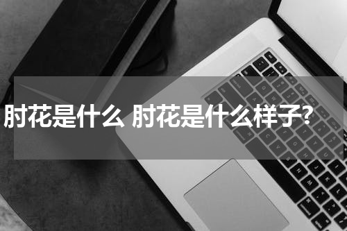 肘花是什么 肘花是什么样子?