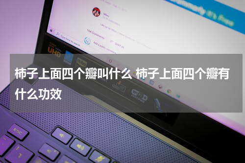 柿子上面四个瓣叫什么 柿子上面四个瓣有什么功效