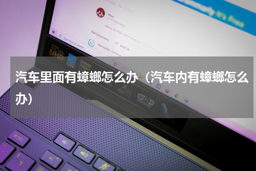 汽车里面有蟑螂怎么办（汽车内有蟑螂怎么办）