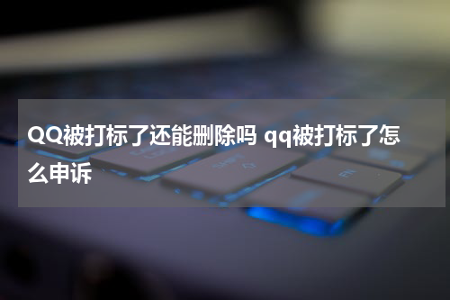 QQ被打标了还能删除吗 qq被打标了怎么申诉