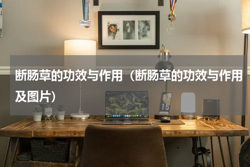 断肠草的功效与作用（断肠草的功效与作用及图片）