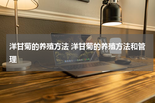 洋甘菊的养殖方法 洋甘菊的养殖方法和管理