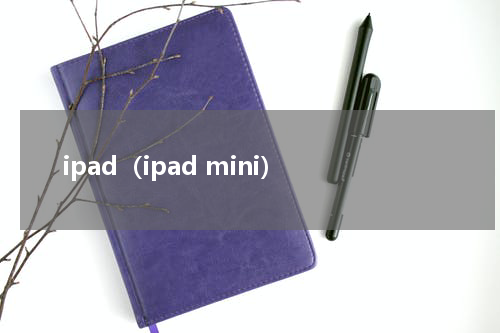 ipad（ipad mini）