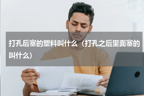打孔后塞的塑料叫什么（打孔之后里面塞的叫什么）