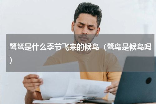 鹭鸶是什么季节飞来的候鸟（鹭鸟是候鸟吗）