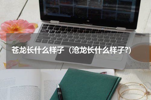 苍龙长什么样子（沧龙长什么样子?）