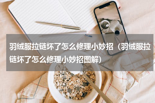 羽绒服拉链坏了怎么修理小妙招（羽绒服拉链坏了怎么修理小妙招图解）