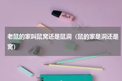 老鼠的家叫鼠窝还是鼠洞（鼠的家是洞还是窝）