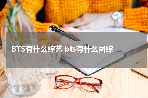 BTS有什么综艺 bts有什么团综
