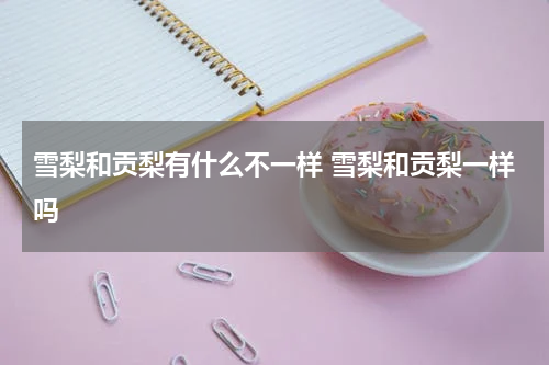 雪梨和贡梨有什么不一样 雪梨和贡梨一样吗