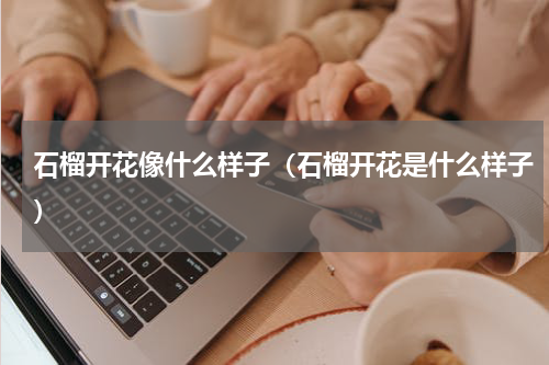 石榴开花像什么样子（石榴开花是什么样子）