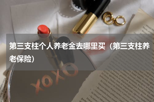 第三支柱个人养老金去哪里买（第三支柱养老保险）