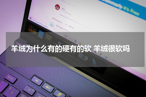 羊绒为什么有的硬有的软 羊绒很软吗