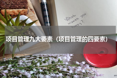 项目管理九大要素（项目管理的四要素）