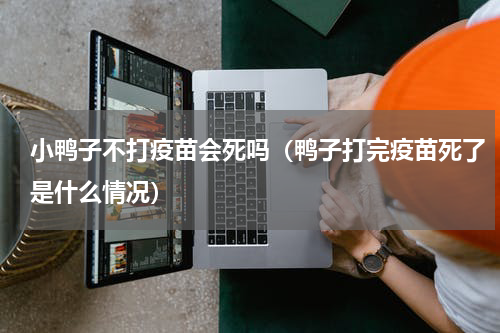 小鸭子不打疫苗会死吗（鸭子打完疫苗死了是什么情况）