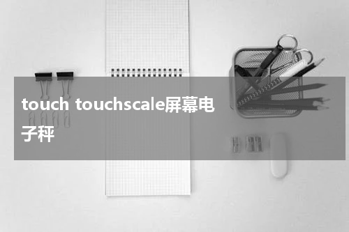 touch touchscale屏幕电子秤