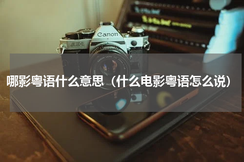 哪影粤语什么意思（什么电影粤语怎么说）