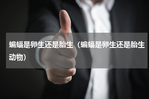 蝙蝠是卵生还是胎生（蝙蝠是卵生还是胎生动物）