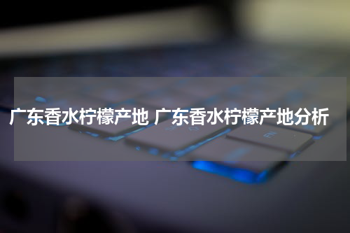 广东香水柠檬产地 广东香水柠檬产地分析