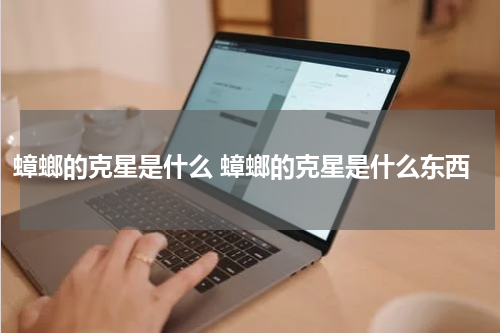 蟑螂的克星是什么 蟑螂的克星是什么东西