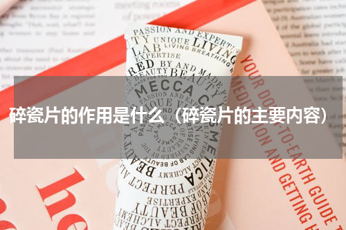 碎瓷片的作用是什么（碎瓷片的主要内容）