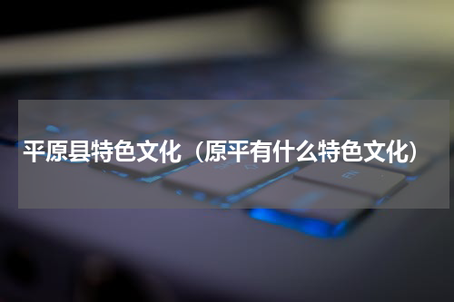 平原县特色文化（原平有什么特色文化）